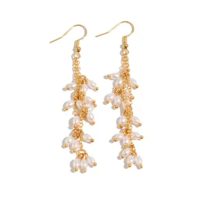 Boho Newly Dangling Pearl Tassel Earrings