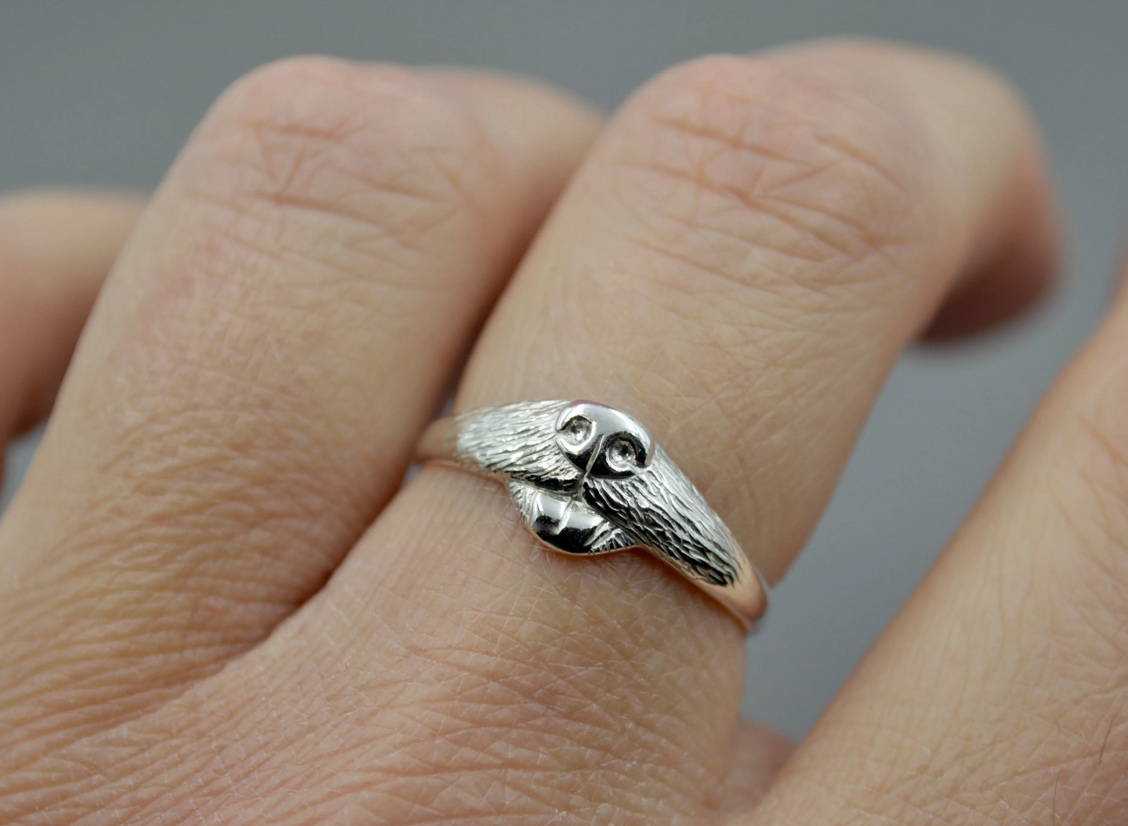 Dog Ring
