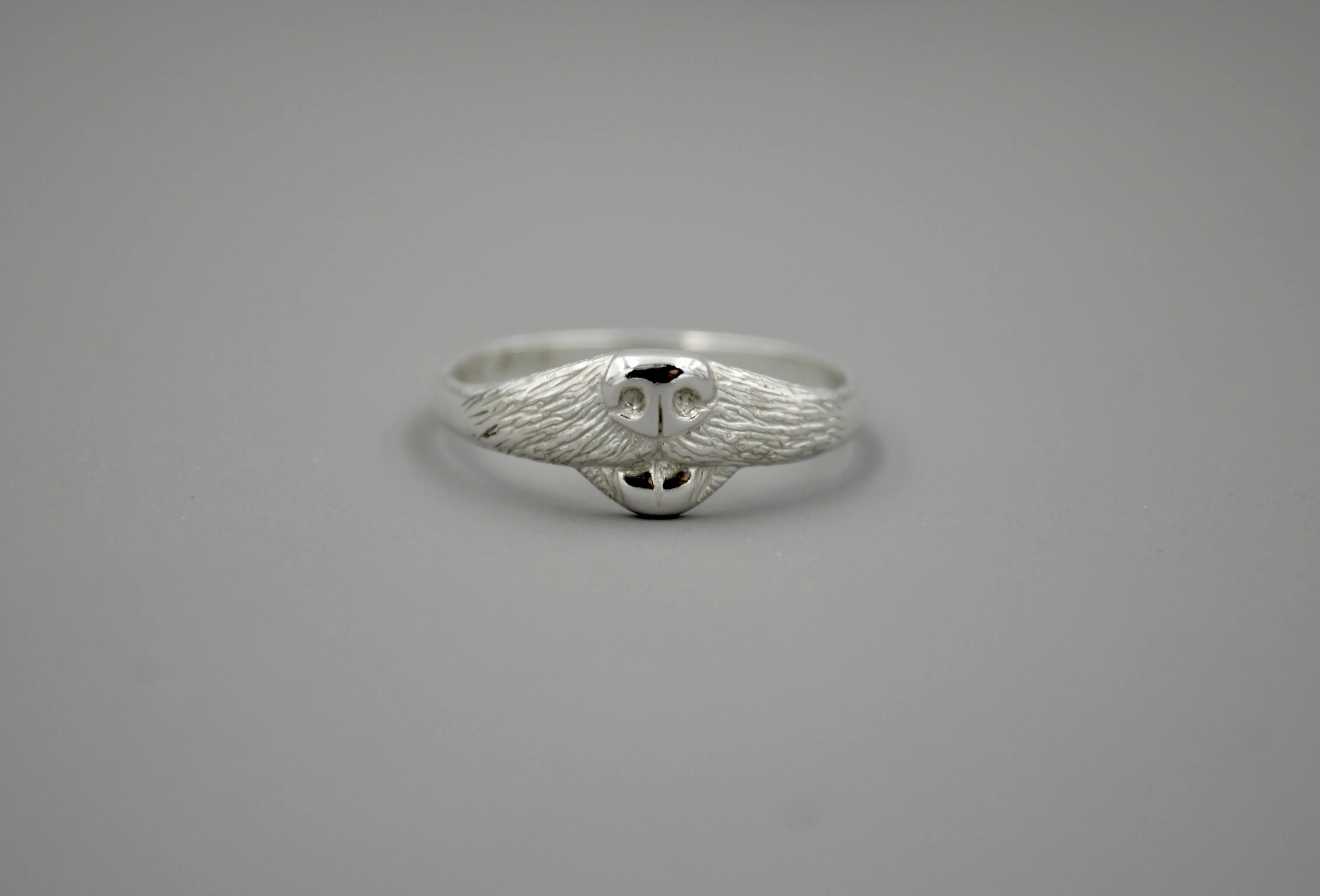 Dog Ring