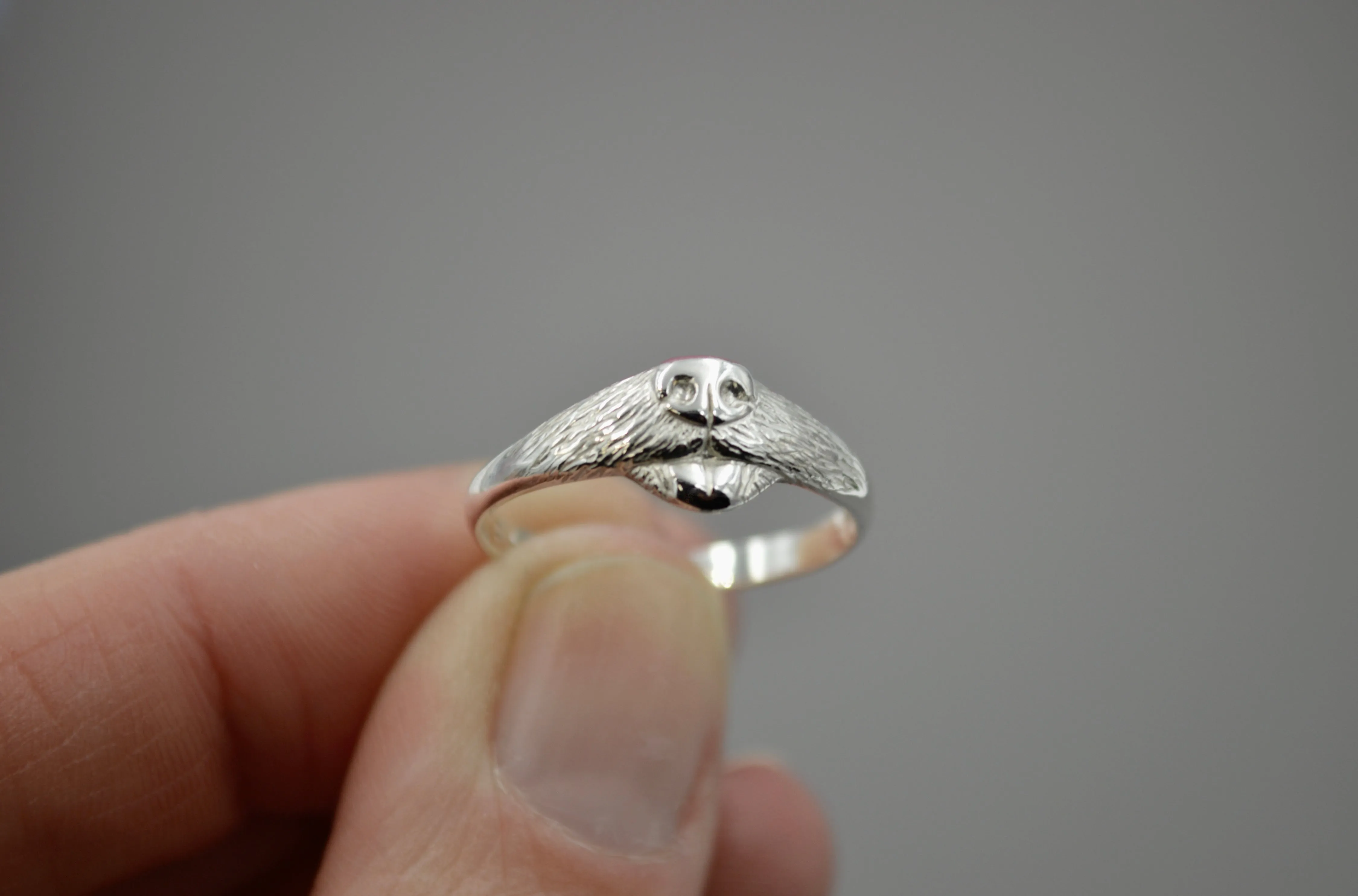 Dog Ring
