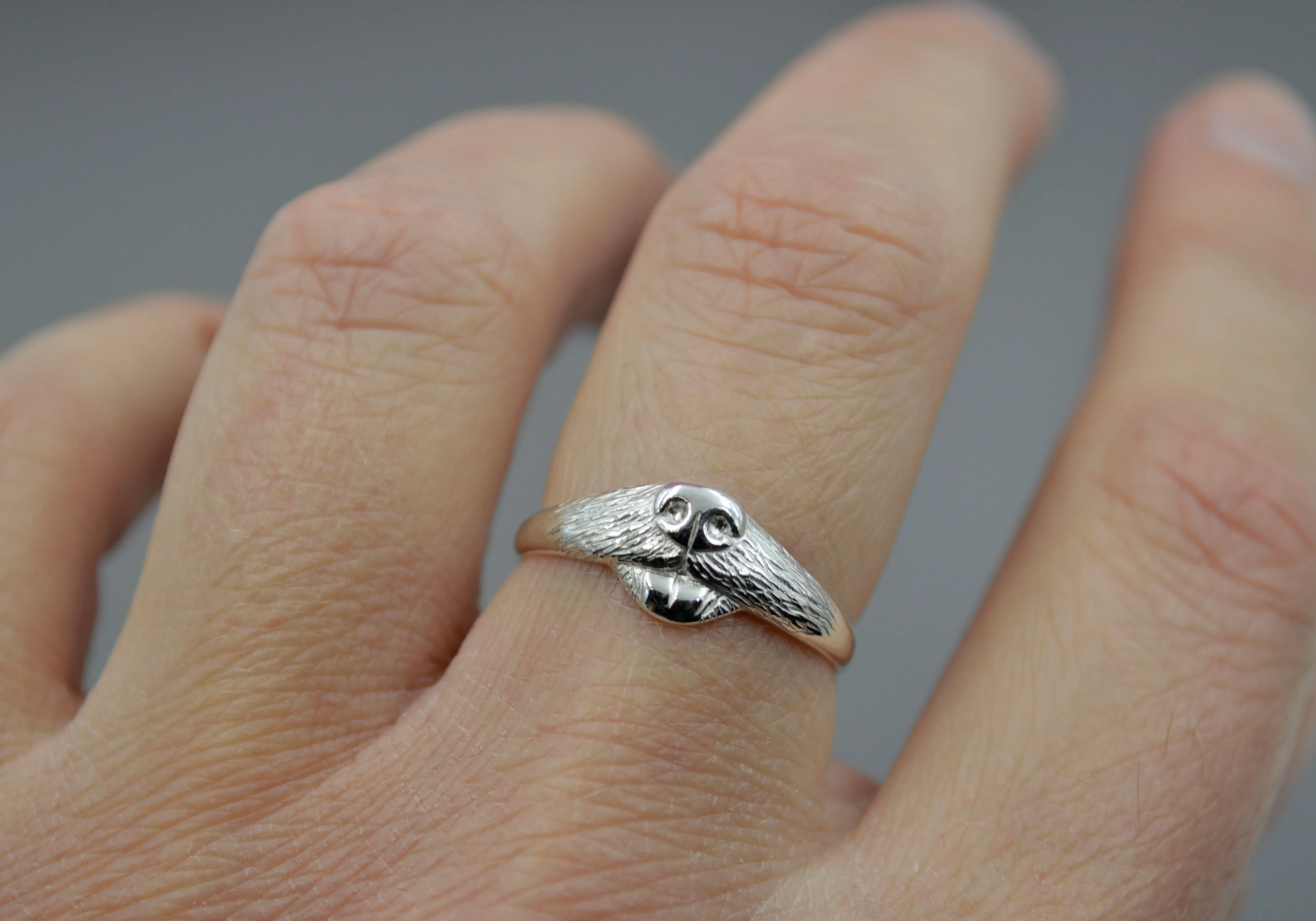 Dog Ring