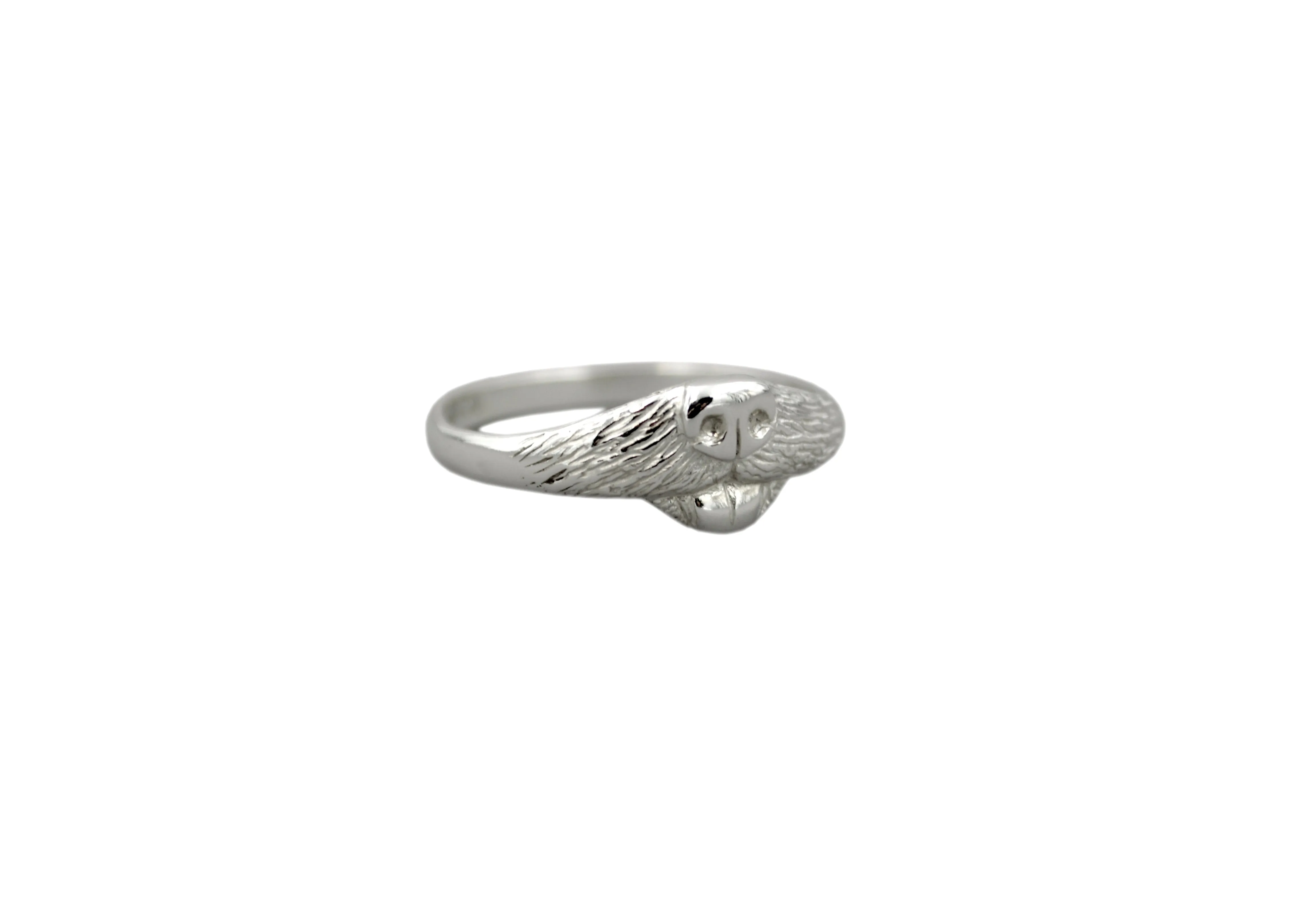Dog Ring
