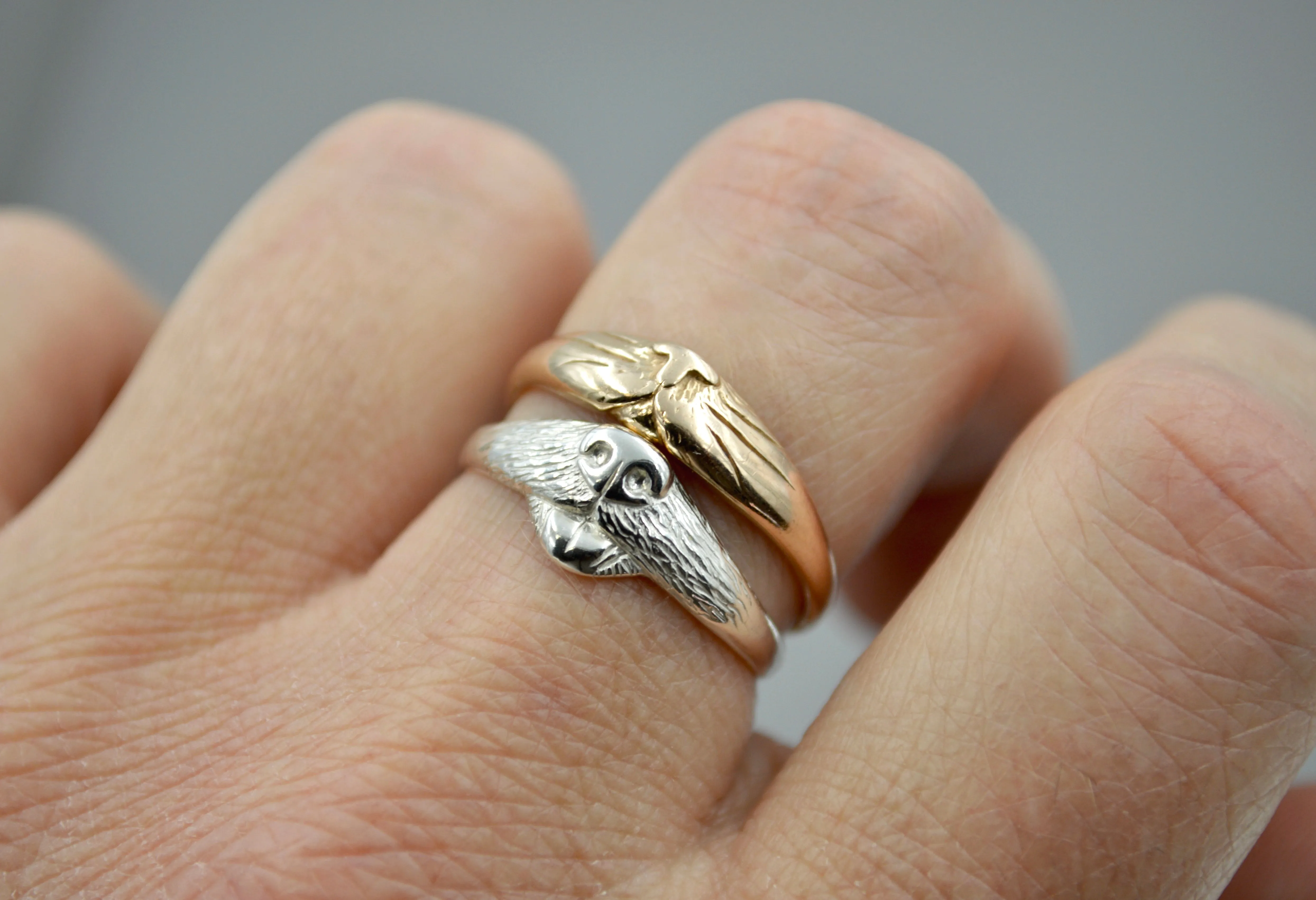 Dog Ring