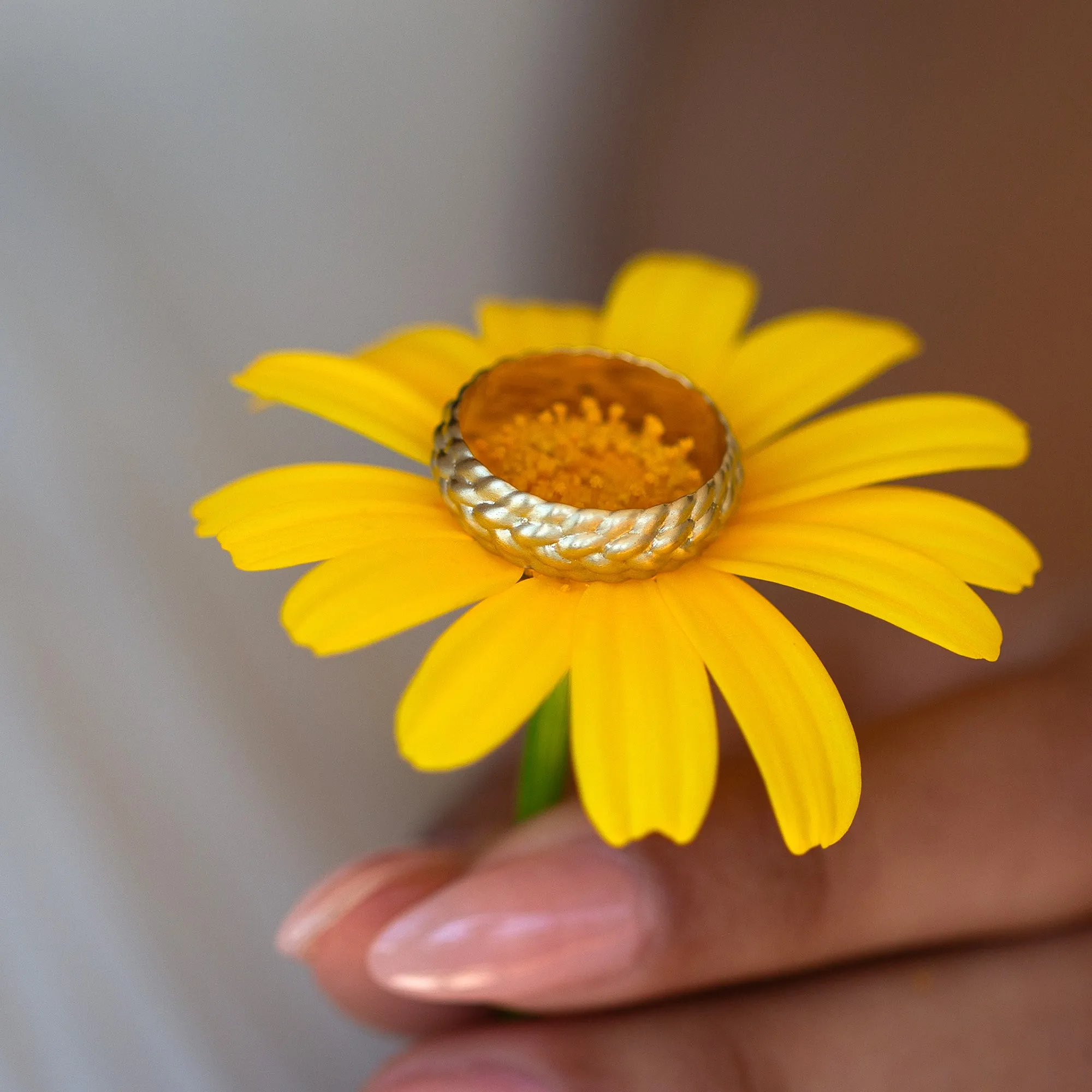 Knot Band | Braided Gold Ring