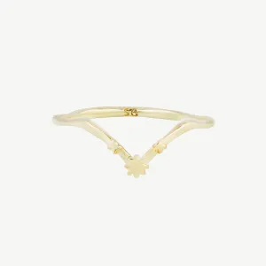 Stellar Ring