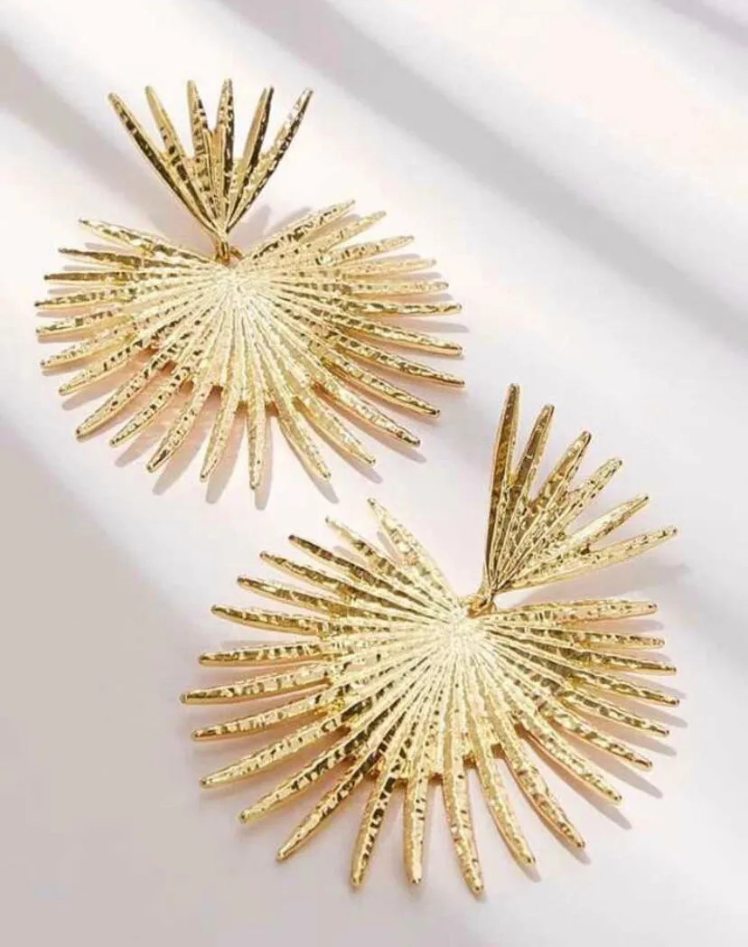 Tassel decor Earrings