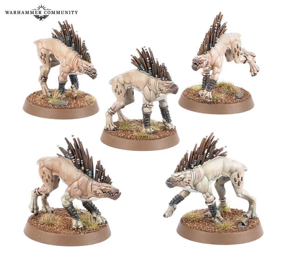 Tau Empire: Kroot Hounds