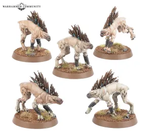 Tau Empire: Kroot Hounds