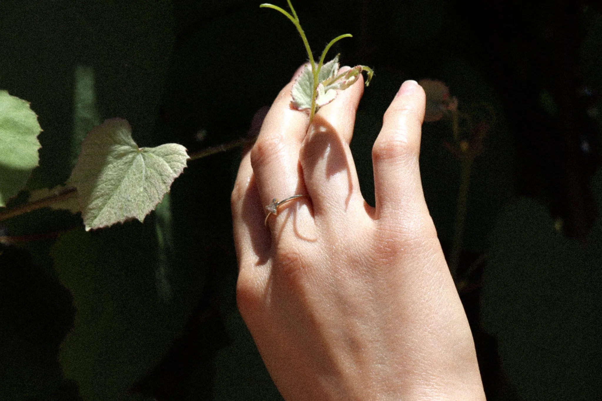 Trillium Diamond Ring